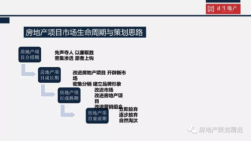 地產策劃養(yǎng)成記 項目品牌策劃、項目策劃與公關服務的融合之道